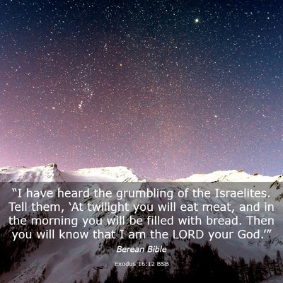 Picture 03 - Exodus 16:12 BSB - “I have heard the grumbling of the Israelites. - Bible Verse Picture