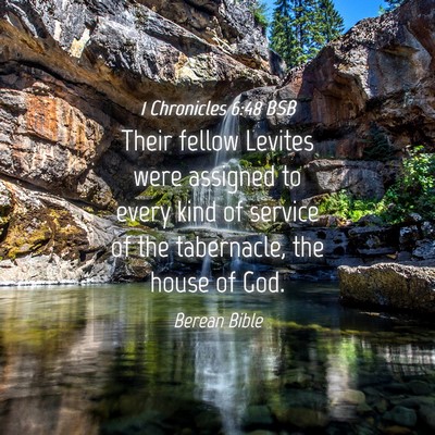 Picture 04 - 1 Chronicles 6:48 BSB - Their fellow Levites were assigned to every kind - Bible Verse Picture