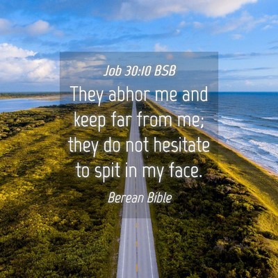 Picture 04 - Job 30:10 BSB - They abhor me and keep far from me; they do not - Bible Verse Picture