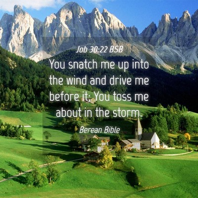 Picture 04 - Job 30:22 BSB - You snatch me up into the wind and drive me - Bible Verse Picture