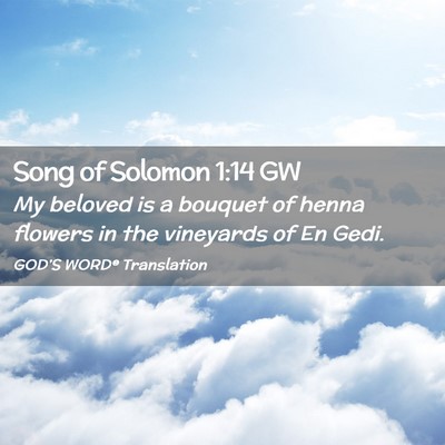 Picture 02 - Song of Solomon 1:14 GW - My beloved is a bouquet of henna flowers in the - Bible Verse Picture