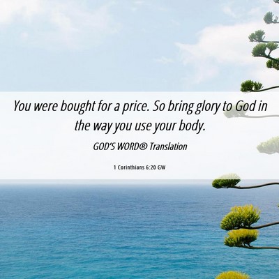 Picture 06 - 1 Corinthians 6:20 GW - You were bought for a price. So bring glory to - Bible Verse Picture