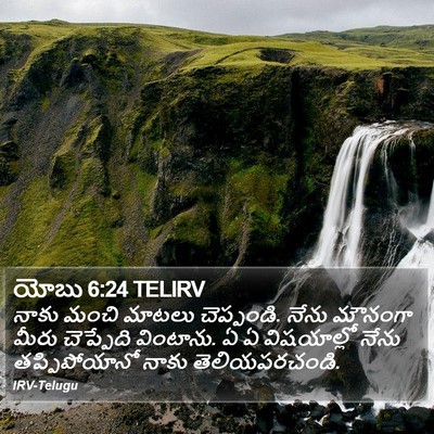 యోబు 6:24 TELIRV Bible Verse Image