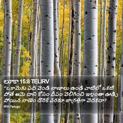 లూకా 15:8 TELIRV Bible Verse Image