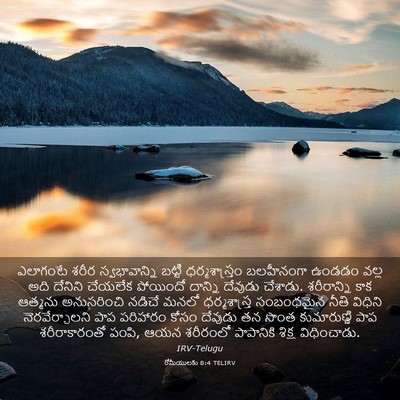 Picture 03 - రోమీయులకు 8:4 TELIRV - ఎలాగంటే శరీర - Bible Verse Picture