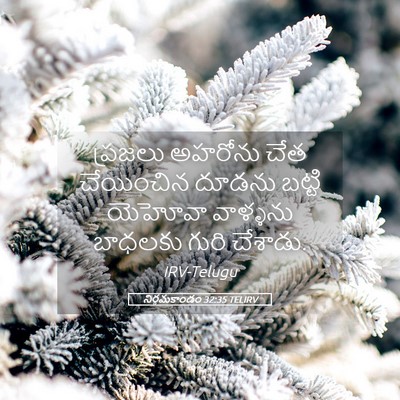 Picture 05 - నిర్గమకాండం 32:35 TELIRV - ప్రజలు అహరోను చేత - Bible Verse Picture