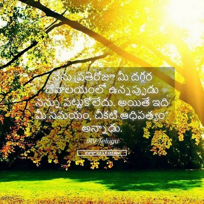 Picture 05 - లూకా 22:53 TELIRV - నేను ప్రతిరోజూ మీ - Bible Verse Picture