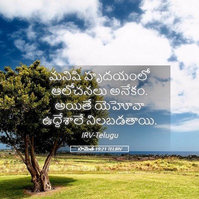 Picture 05 - సామెత 19:21 TELIRV - మనిషి హృదయంలో - Bible Verse Picture