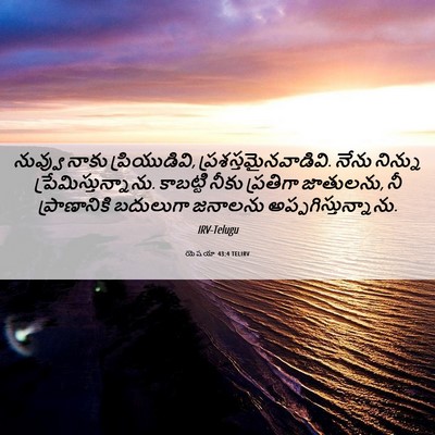 Picture 06 - యెషయా 43:4 TELIRV - నువ్వు నాకు - Bible Verse Picture